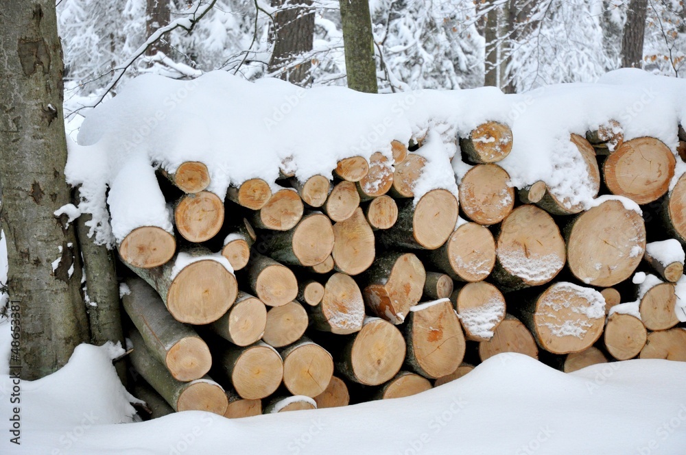Ścięte drzewo przysypane śniegiem - obrazy, fototapety, plakaty 