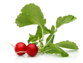 Poster - fresh radish