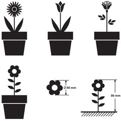 Sticker - Flowers in pots and flower size scheme