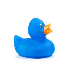 Plastic blue duck toy.