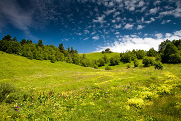 Canvas Print - Beautiful landscapes with mountains