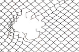Fototapeta  - hole in the mesh wire fence