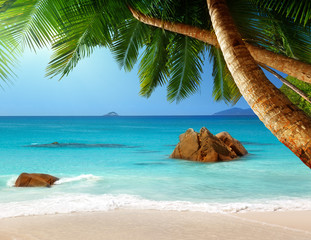 Wall Mural - Anse Lazio beach on Praslin island in Seychelles