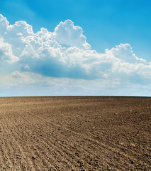 Wall Mural - blue cloudy sky and black plowed field