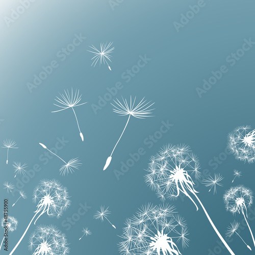 Naklejka - mata magnetyczna na lodówkę dandelions