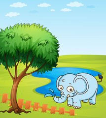 Sticker - An elephant playing in a water