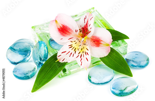 Fototapeta na wymiar Clarity spa concept with flower