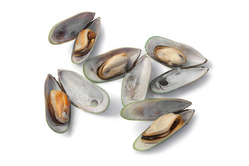 Cooked green lipped mussels