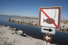 No Fishing Sign At The Salton Sea