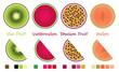 Fruit slices and wedges in vector format complete with swatches.