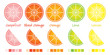 Citrus slices and wedges in vector format complete with swatches