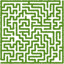 Bushes Maze