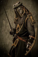 Medieval knight with sword and shield against stone wall