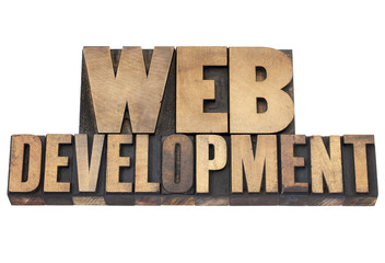 Canvas Print - web development in wood type