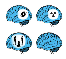 Poster - human brain model