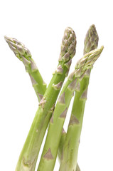 Wall Mural - the fresh green asparagus on white