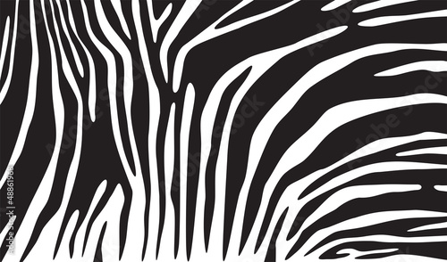 Nowoczesny obraz na płótnie zebra skin background