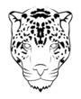 jaguar face