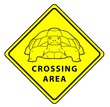 Turtle Crossing Area
