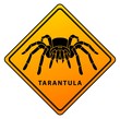tarantula sign