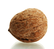Walnut Isolated On White