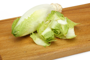 Sticker - Endive