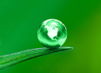 green planet