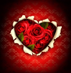 Fototapete - Valentine Heart Card Design. Red roses and ripped paper heart. V