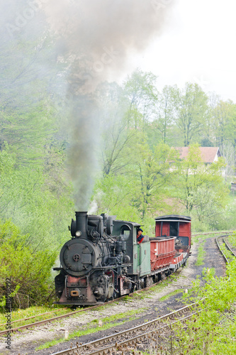 Nowoczesny obraz na płótnie narrow gauge railway, Banovici, Bosnia and Hercegovina