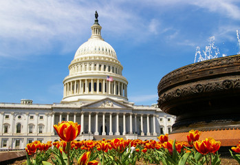 Wall Mural - The capitol