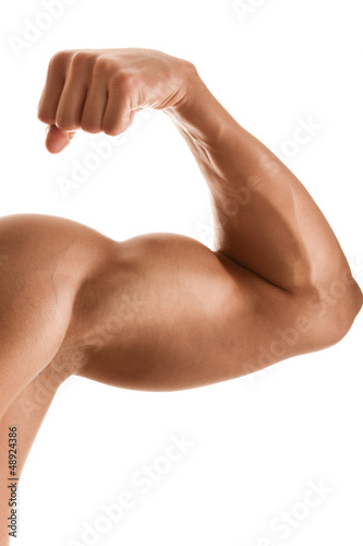 Cuadros en Lienzo Close up of man's hand with bicep, isolated on white