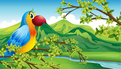 Poster - A parrot on a branch of a tree