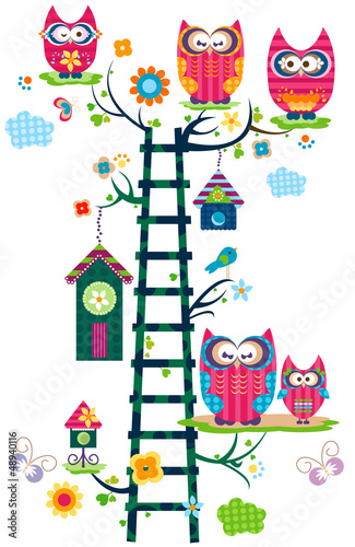 Obraz w ramie owl`s tree