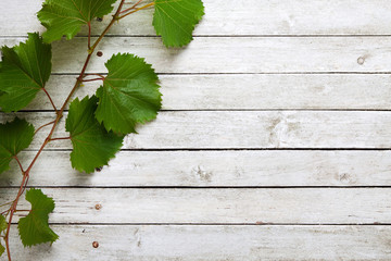 Grapevine leaves on wooden background