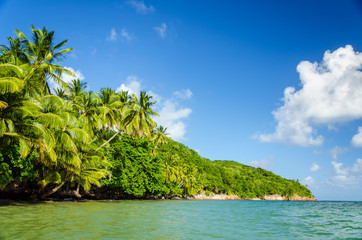 Wall Mural - Lush Green Coastline