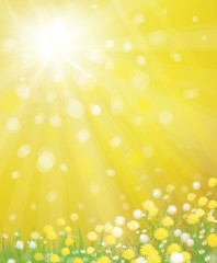 Wall Mural - vector of sky background with yellow dandelions.