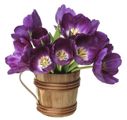 Canvas Print - bunch of purple tulips