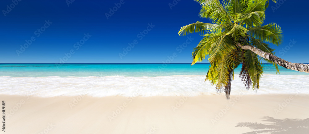 seychelles plage - obrazy, fototapety, plakaty 