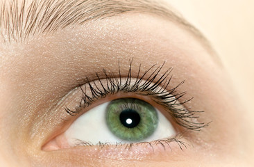 Canvas Print - Beautiful woman green eye close-up