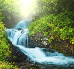 Sticker - Creek in forest