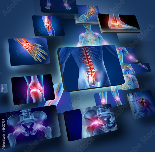 Naklejka dekoracyjna Koncepcja anatomii ludzkiej