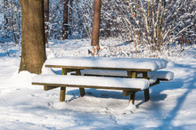 Snowy Picnic Table And Bench At The Edge Of The Forest
