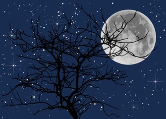Wall Mural - full moon and died trees