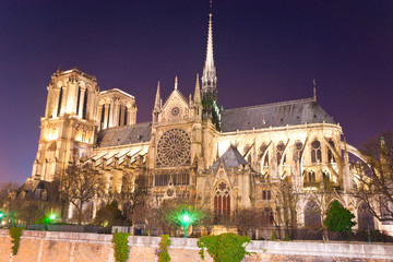 Fototapete - Notre dame de Paris, France.