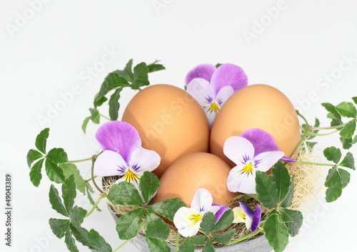 イースターエッグと春の花のアレンジ Stock Photo Adobe Stock