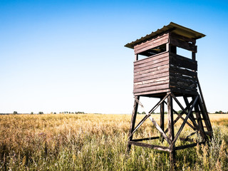 Canvas Print - wildlife observation point