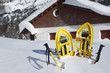 snowshoeing