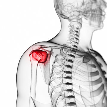 3d rendered illustration of a painful shoulder