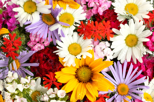 beautiful bouquet of bright  wildflowers, close up - 49066279