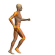 © high_resolution - High resolution conceptual human for anatomy,medicine, health